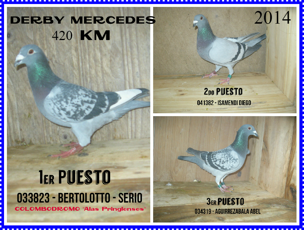 palomas14derby